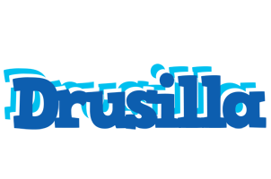Drusilla business logo