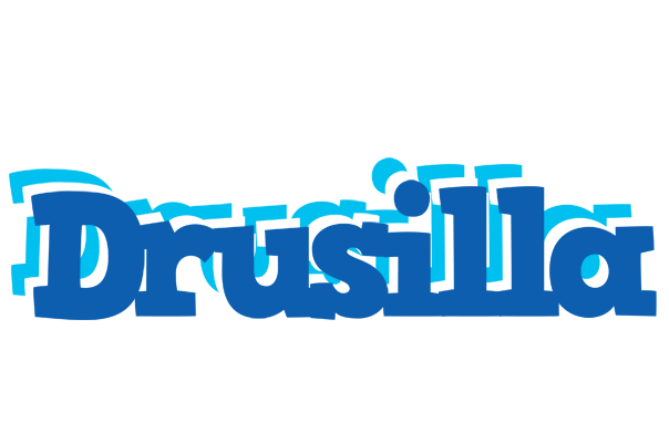 Drusilla business logo