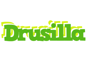 Drusilla picnic logo