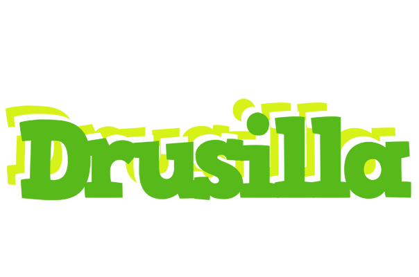 Drusilla picnic logo