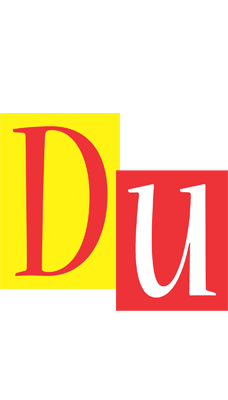Du errors logo