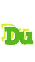 Du picnic logo