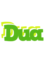 Dua picnic logo