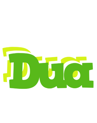 Dua picnic logo
