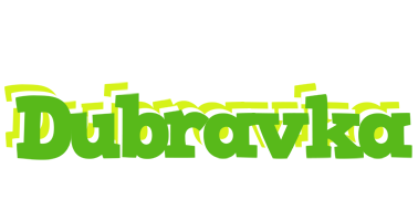 Dubravka picnic logo