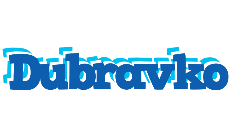 Dubravko business logo