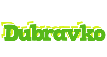 Dubravko picnic logo