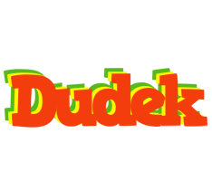 Dudek bbq logo