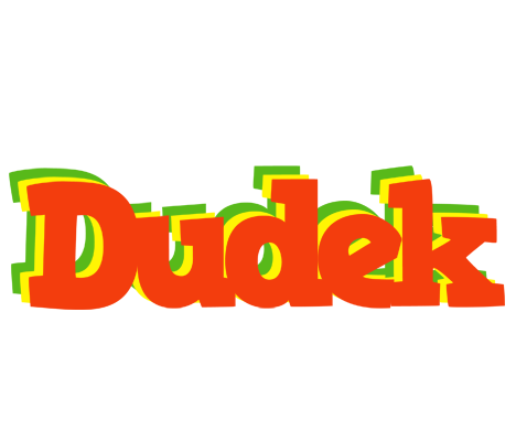 Dudek bbq logo