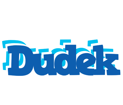 Dudek business logo