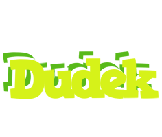 Dudek citrus logo