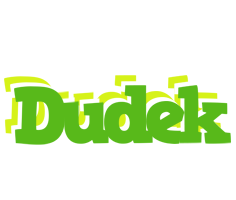 Dudek picnic logo