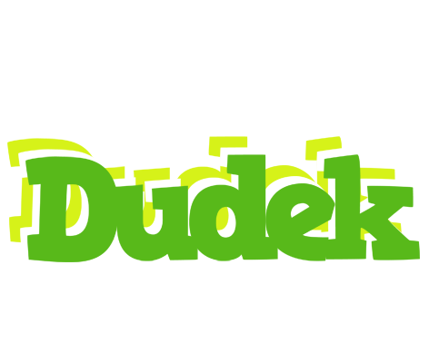Dudek picnic logo