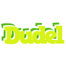 Dudel citrus logo