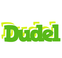 Dudel picnic logo