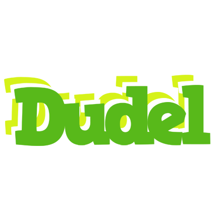 Dudel picnic logo