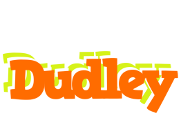 Dudley healthy logo