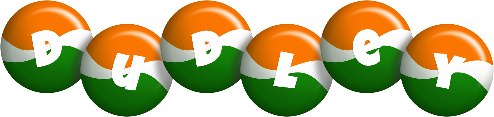 Dudley india logo