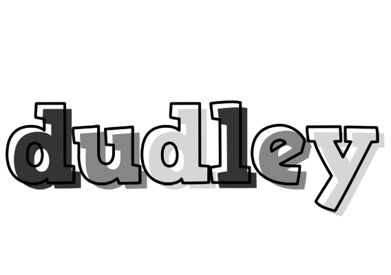 Dudley night logo