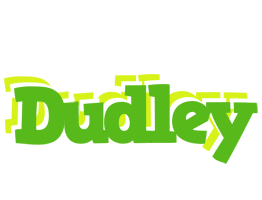 Dudley picnic logo