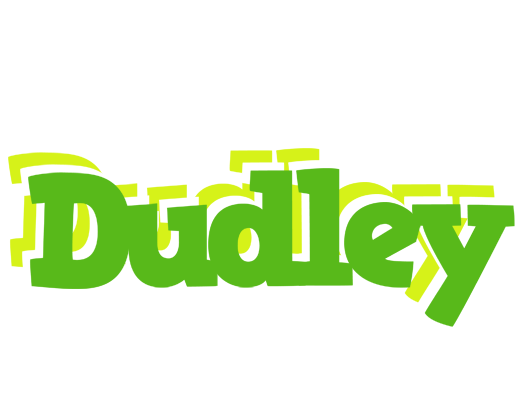Dudley picnic logo