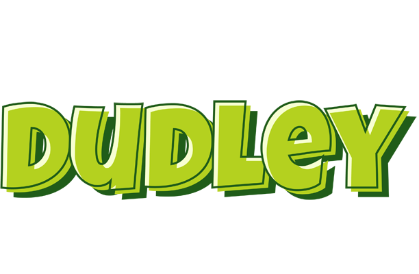 Dudley summer logo