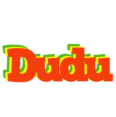 Dudu bbq logo