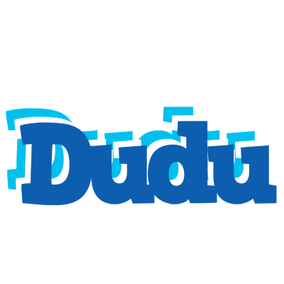 Dudu business logo