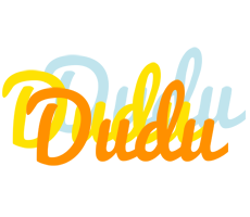 Dudu energy logo