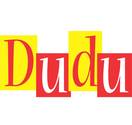 Dudu errors logo