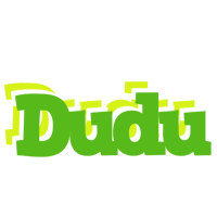 Dudu picnic logo