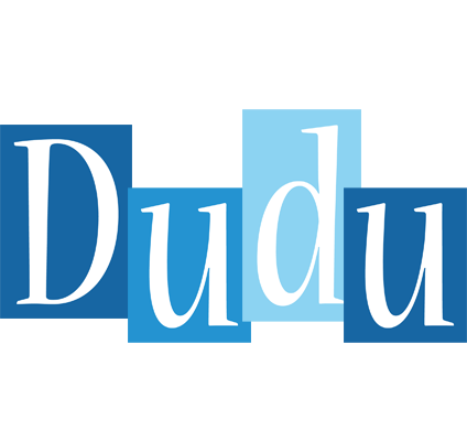 Dudu winter logo