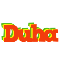 Duha bbq logo