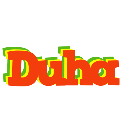 Duha bbq logo