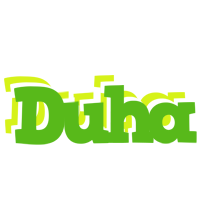 Duha picnic logo