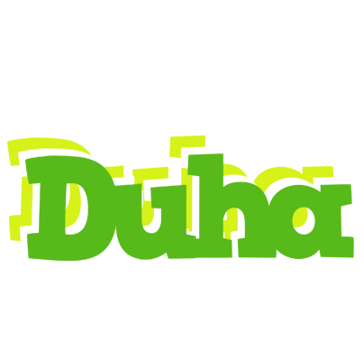 Duha picnic logo