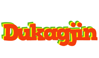 Dukagjin bbq logo