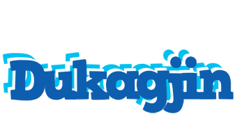 Dukagjin business logo