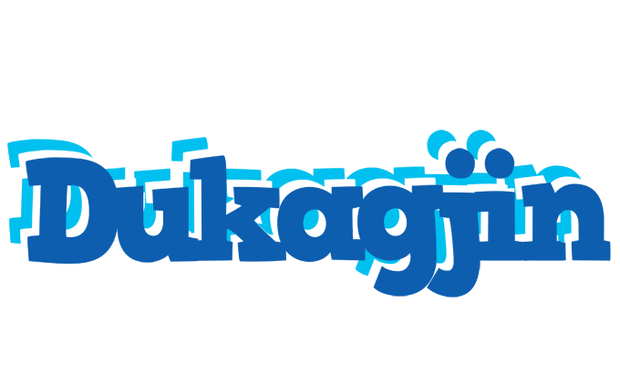 Dukagjin business logo