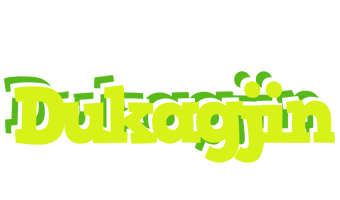 Dukagjin citrus logo