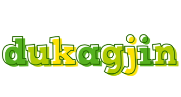 Dukagjin juice logo