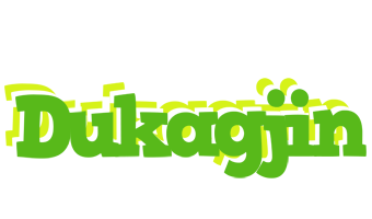 Dukagjin picnic logo