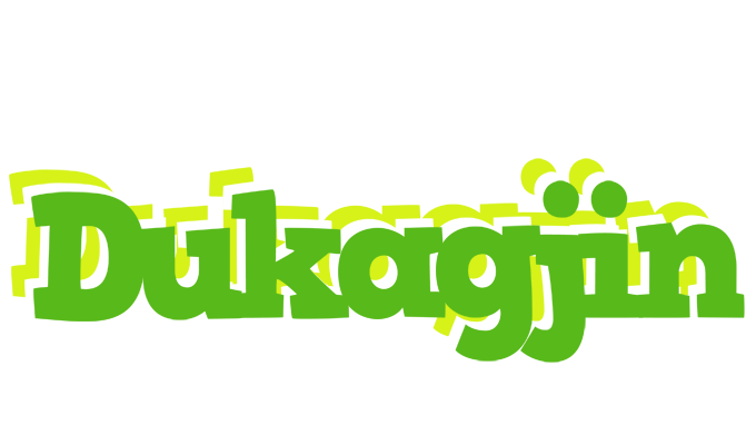 Dukagjin picnic logo