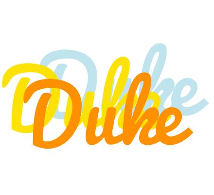 Duke energy logo