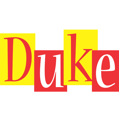 Duke errors logo