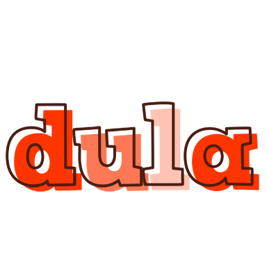 Dula paint logo