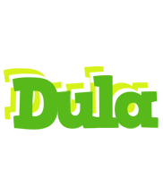 Dula picnic logo