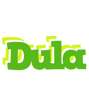 Dula picnic logo
