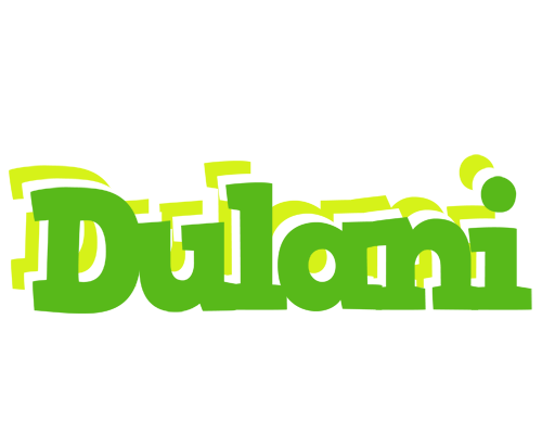 Dulani picnic logo