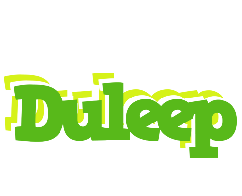 Duleep picnic logo
